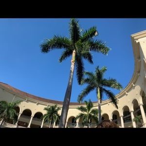 Meet your Posher, Jill